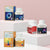 4 new members debuted under Vitatree premium range