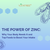 The Power of Zinc: Why Your Body Needs It and Top Foods to Boost Your Intake