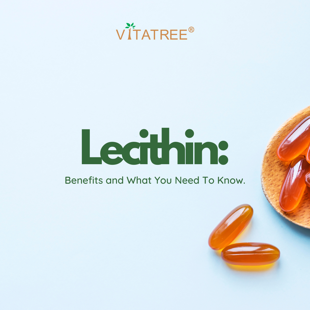Lecithins Benefits and What You Need To Know